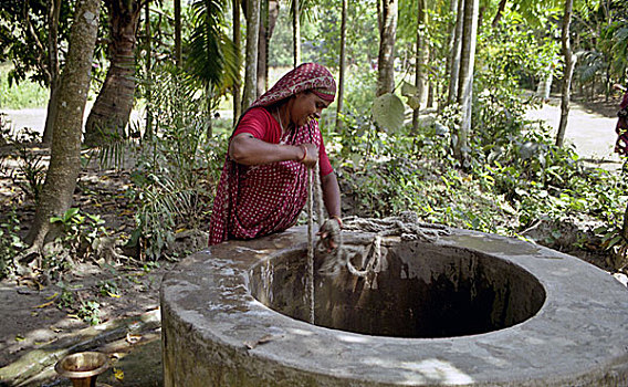 乡村,女人,水,饮用水,乡村地区,孟加拉