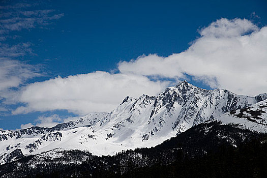 白马雪山