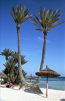 海滩,突尼斯,非洲
