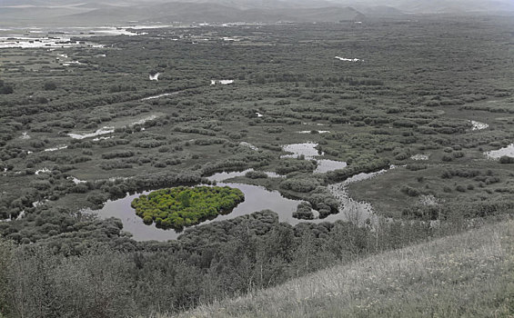中国内蒙古呼伦贝尔额尔古纳湿地公园景观