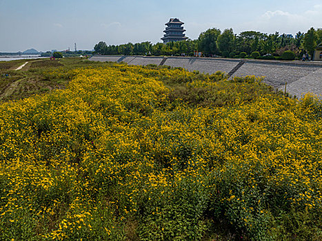 济南百里黄河风景区