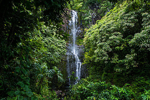 瀑布,绿色,植被,哈莱亚卡拉国家公园,毛伊岛,夏威夷,美国,北美