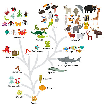 生物进化 卡通图片