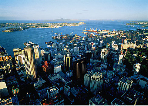航拍,城市天际线,奥克兰,新西兰