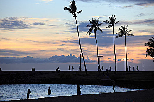 夏威夷,瓦胡岛,怀基基海滩,魔幻,岛屿,日落,棕榈树,海滩