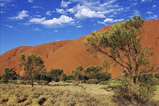 艾尔斯巨石,乌卢鲁巨石,特写,北领地州,澳大利亚