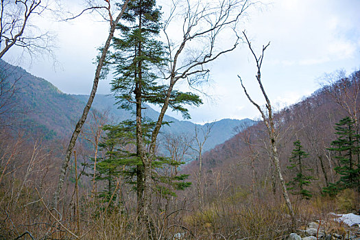 秦岭风光