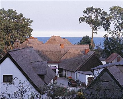 乡村,房子,茅草屋顶,波罗的海,德国,欧洲