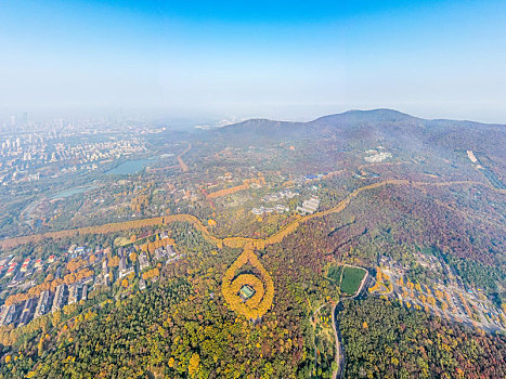 航拍南京钟山风景名胜区美龄宫法国梧桐树茂密