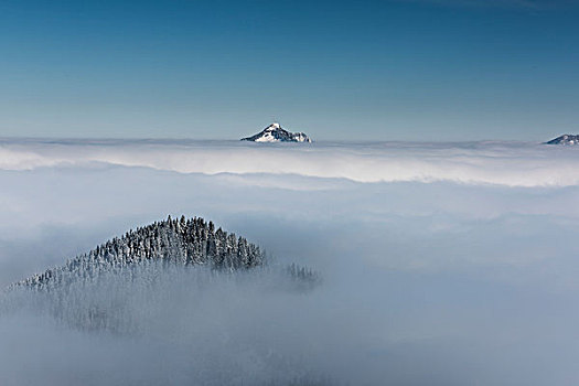 积雪,顶峰,山,高处,层次,雾,地区,巴伐利亚,德国,欧洲