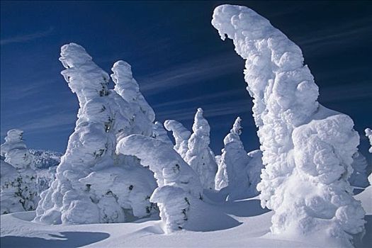 重,雪,树,滑雪区,冬天,靠近