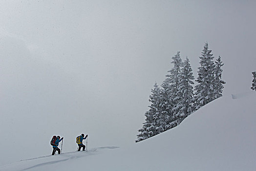 攀登,滑雪,旅游,山,巴伐利亚阿尔卑斯山,巴伐利亚,德国