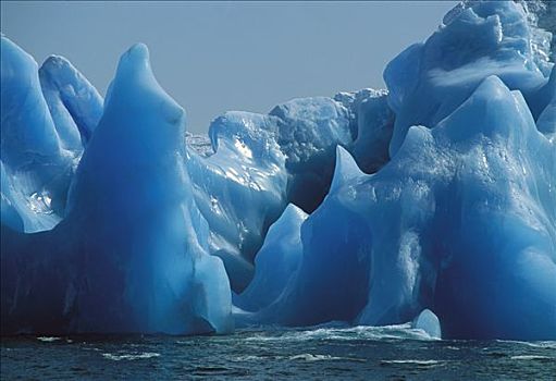 古老,蓝色,冰山,靠近,三明治,岛屿,斯科舍海,南极