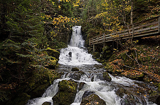 漂亮,瀑布,小,峡谷,芬地湾国家公园,新布兰斯维克,加拿大