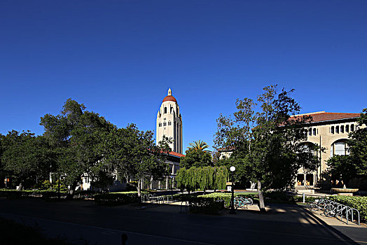 斯坦福大学