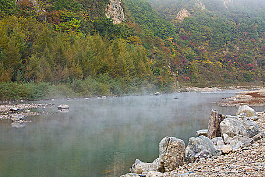 湖,水面,雾气,蒸腾,白雾,水蒸气,缥缈,仙境,灵性,家禽,鸭子,鹅,游动,自在,安静,自然,风光