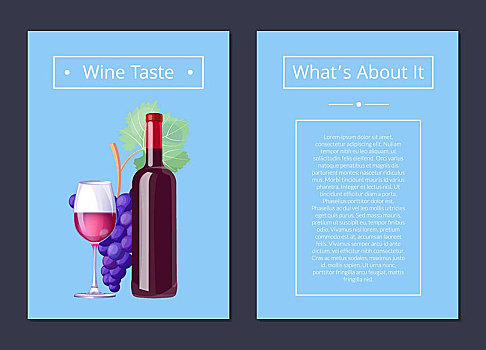 葡萄酒,味道,矢量,插画,海报,一个,葡萄酒瓶,玻璃杯,葡萄,文字