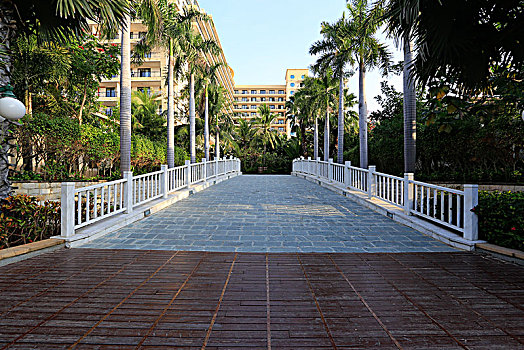 三亚酒店清晨,椰树林里无人的桥梁