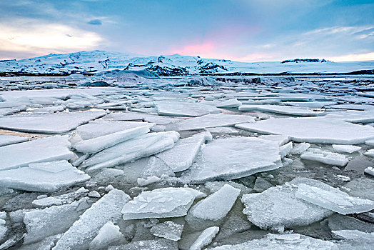 浮冰,冰河,杰古沙龙湖,泻湖,湖,日落,南方,边缘,瓦特纳冰川,东南部,冰岛