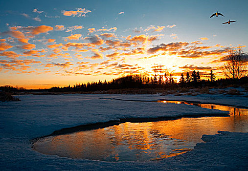 湖,日落,艾伯塔省,加拿大