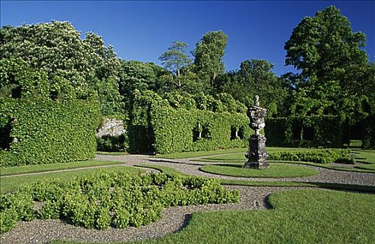 树,花园,城堡,爱尔兰