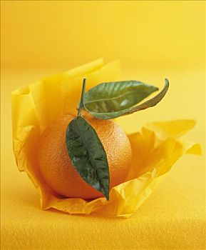 橙子,纸