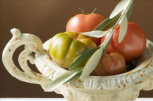 新鲜,西红柿,碗,橄榄枝