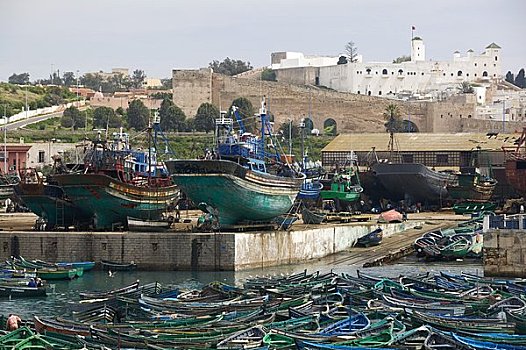 渔港,大西洋海岸,摩洛哥