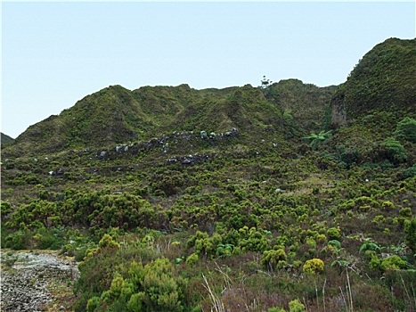 繁茂,山