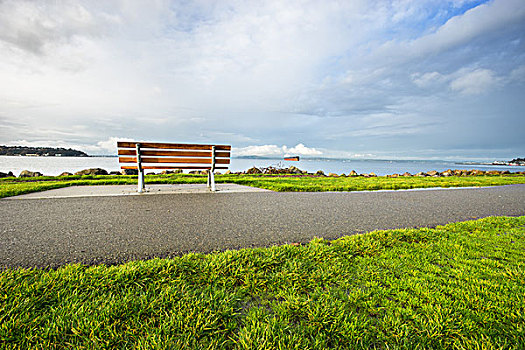 风景,道路,草地,靠近,湖,早晨