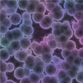 细菌,紫色,乐观