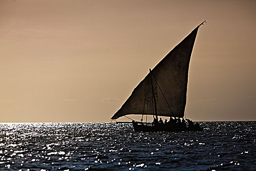 阿拉伯,独桅三角帆船,海岸,桑给巴尔岛,坦桑尼亚,非洲