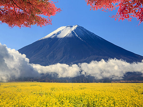 图像,漂亮,富士山,山,日本