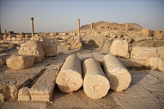 叙利亚,帕尔迈拉,柱子,拱,地面,场所,皇后,古城