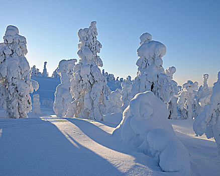 库萨莫,北方,芬兰
