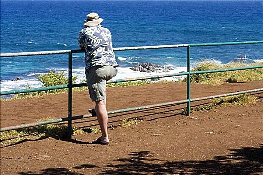 后视图,一个,男人,栏杆,海滩,毛伊岛,夏威夷,美国