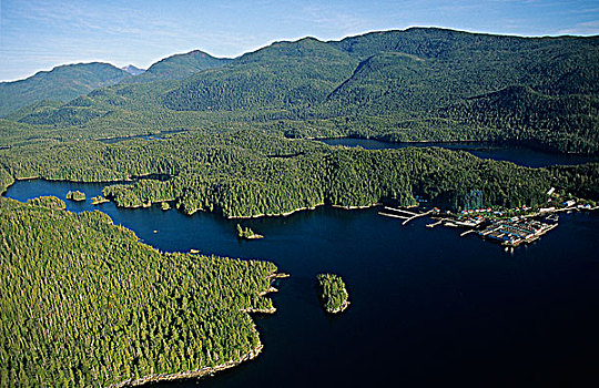 湖,鱼,中心,海岸,大熊雨林,不列颠哥伦比亚省,加拿大