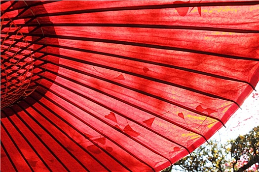 日本传统,红色,伞,秋叶