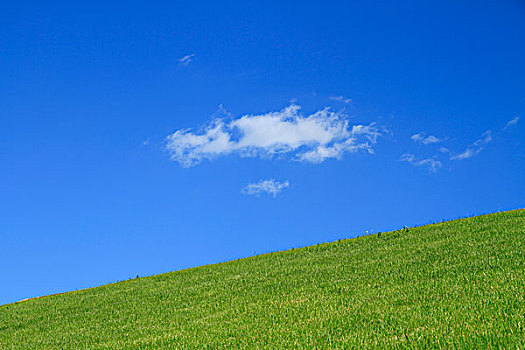 草地,天空