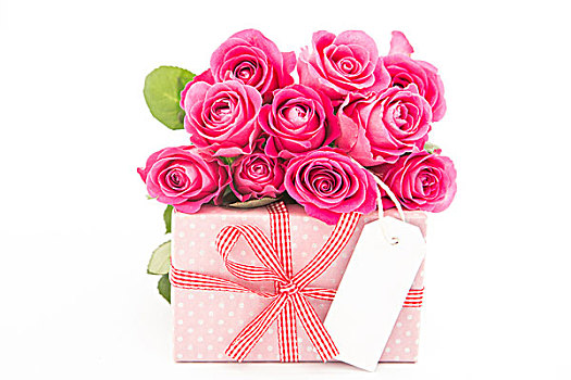 花束,美女,粉色,玫瑰,靠近,礼物,空,卡,白色背景,背景,特写