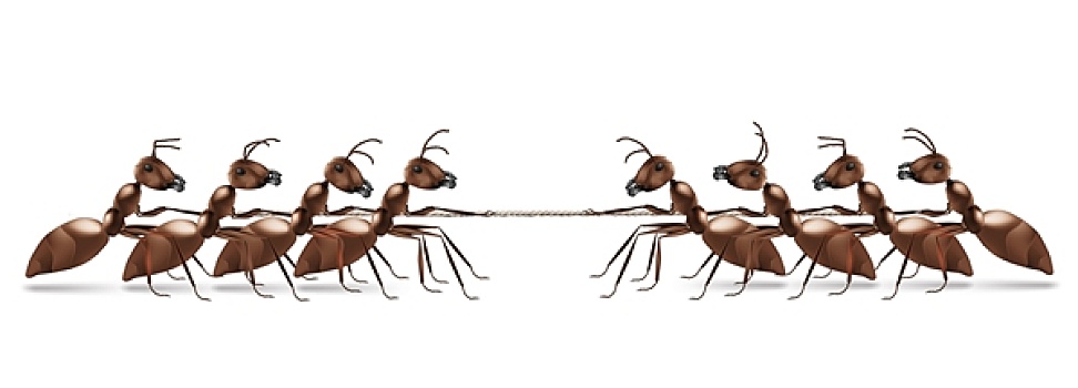 蚂蚁,绳索,拉拽