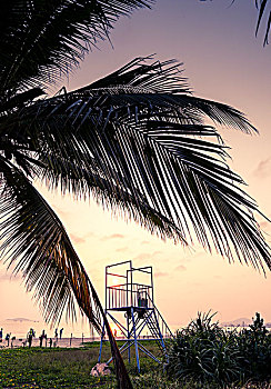 三亚湾海岸线天空椰子树