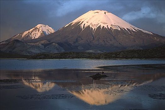 拉乌卡国家公园,安迪斯山脉,智利