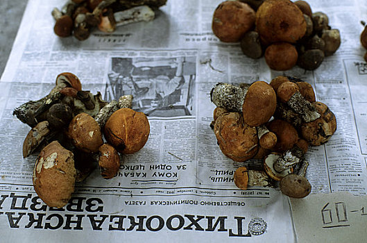 俄罗斯,市场一景,蘑菇,出售