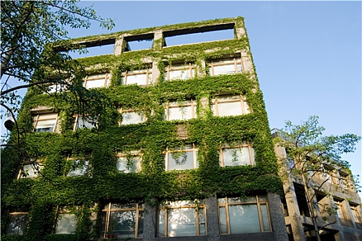 建筑,绿色,植物