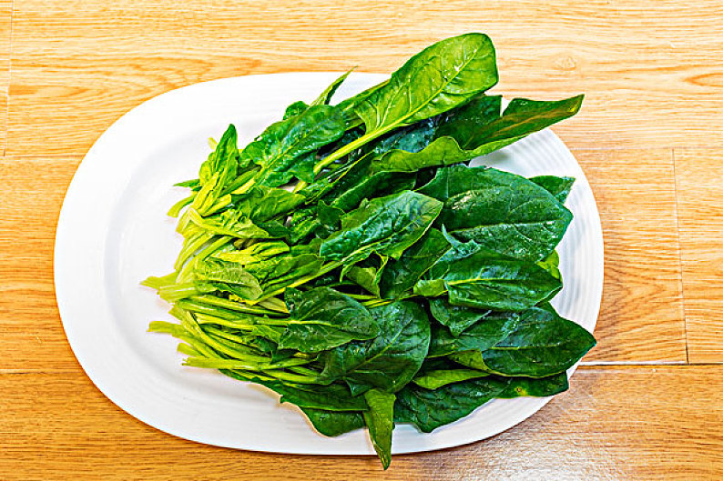 蔬菜菠菜图片_蔬菜菠菜高清图片_全景视觉