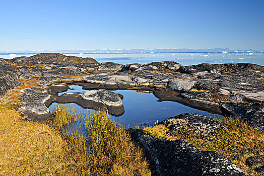 北极,石头,风景,小,水塘,夏天,伊路利萨特,迪斯科湾,格陵兰,极地