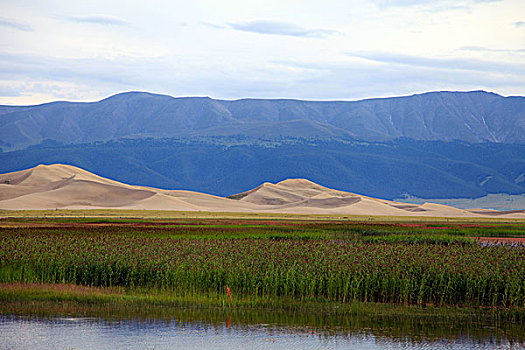 新疆巴里坤鸣沙山湿地