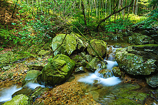 山泉,泉水,小溪,石头,山