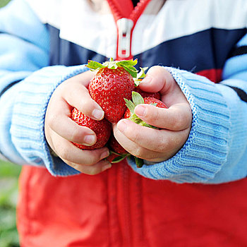 新鲜,草莓,孩子